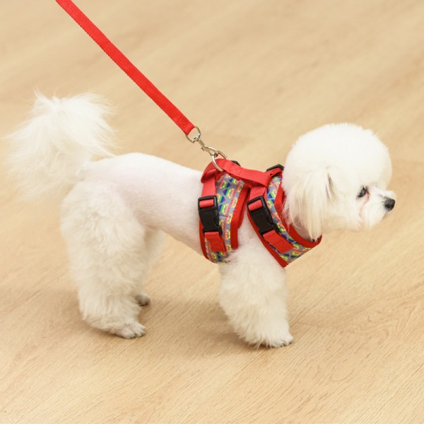 https://www.furyoupets.com/best-dog-harness-manufacturer-xx-small-nylon-dog-harness-product/