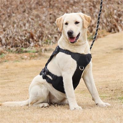 https://www.furyoupets.com/easy-fit-harness-step-in-small-dog-harness-with-quick-release-buckle-on-the-go-harness-for-small-dogs-or-medium-dog-harness-for-indoor-and-outdoor-use-product/